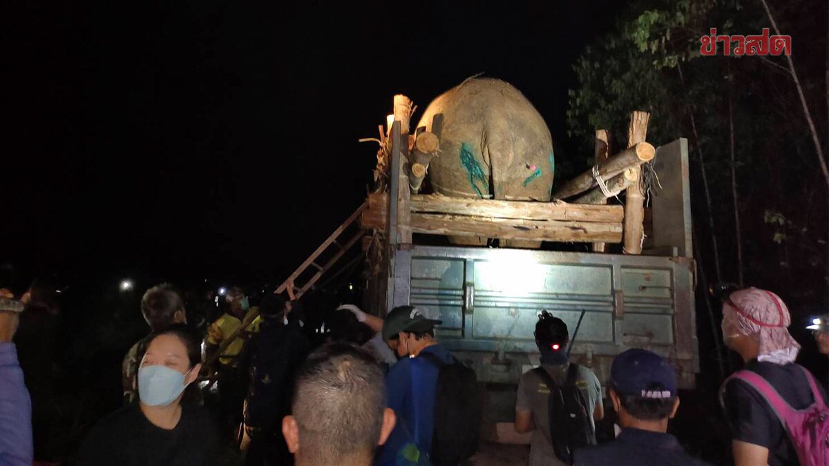 150 นาย ล้อมจับระทึก ช้างป่า 'สีดอโหนก' เหยียบชาวบ้านหาของป่าเสียชีวิต
