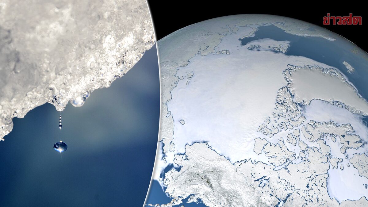 นาซาเผย “น้ำแข็งทะเลอาร์กติก” หายไปเกือบเท่าพื้นที่ 2 รัฐในอเมริกา