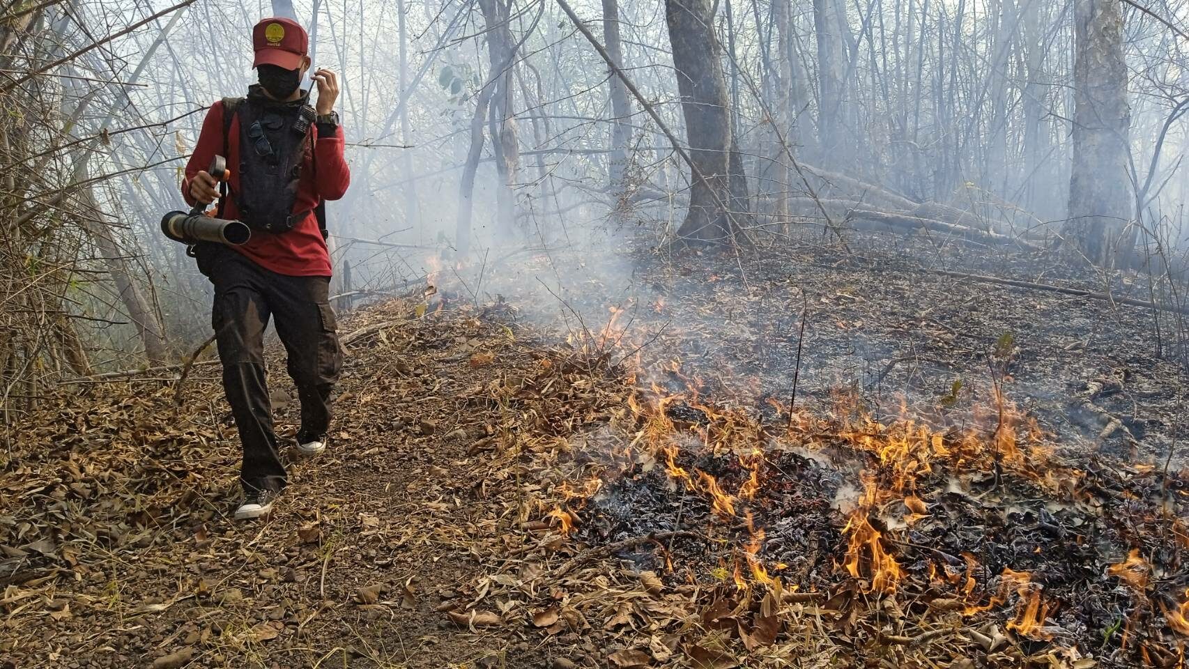 ไม่หยุด! 27วันติด ฝุ่นพิษสูง ยังพบลอบเผาเก็บของป่า