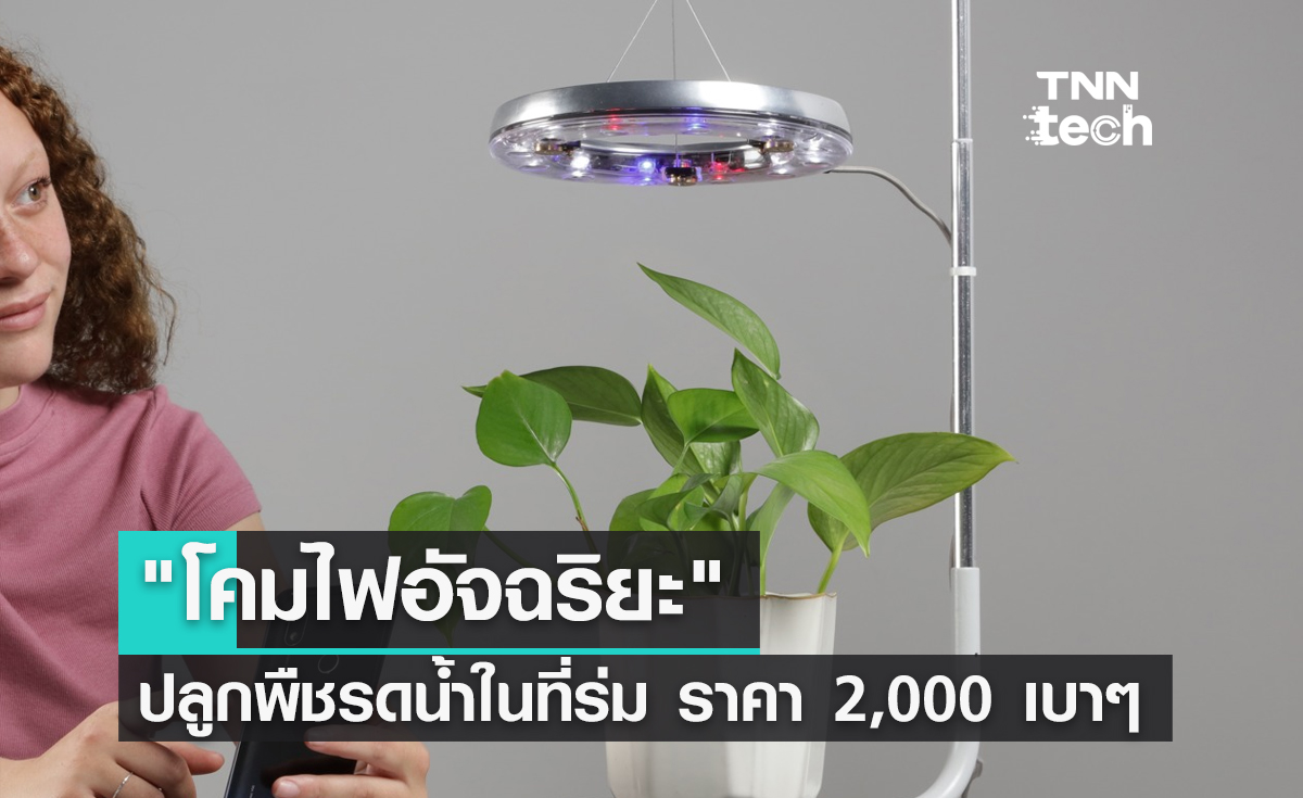 "โคมไฟอัจฉริยะ" ปลูกพืชรดน้ำในที่ร่มได้ 360 องศา ราคาเบาๆ เพียง 2,000 บาท