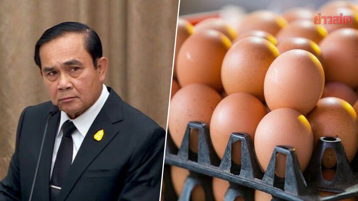 ยุคนี้ ไข่ตู่ แพงสุดเป็นประวัติการณ์ ช้ำเจ๊งกันเพียบ หลังคนไร้กำลังซื้อ