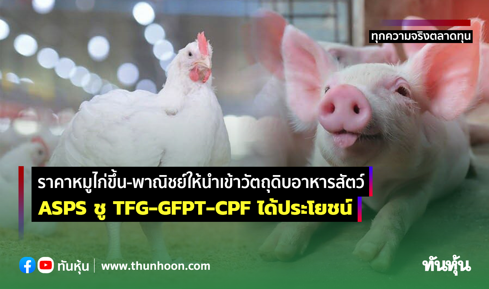 ราคาหมูไก่ขึ้น-พาณิชย์ให้นําเข้าวัตถุดิบอาหารสัตว์  ASPS ชู TFG-GFPT-CPF ได้ประโยชน์