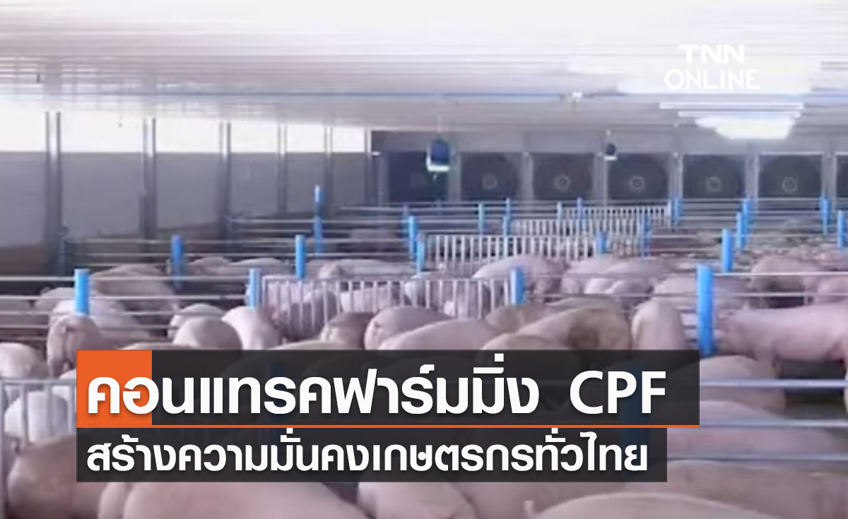 (คลิป) "คอนแทรคฟาร์มมิ่ง CPF" สร้างความมั่นคงเกษตรกรทั่วไทย สร้างผลตอบแทนทางสังคมทุกมิติ