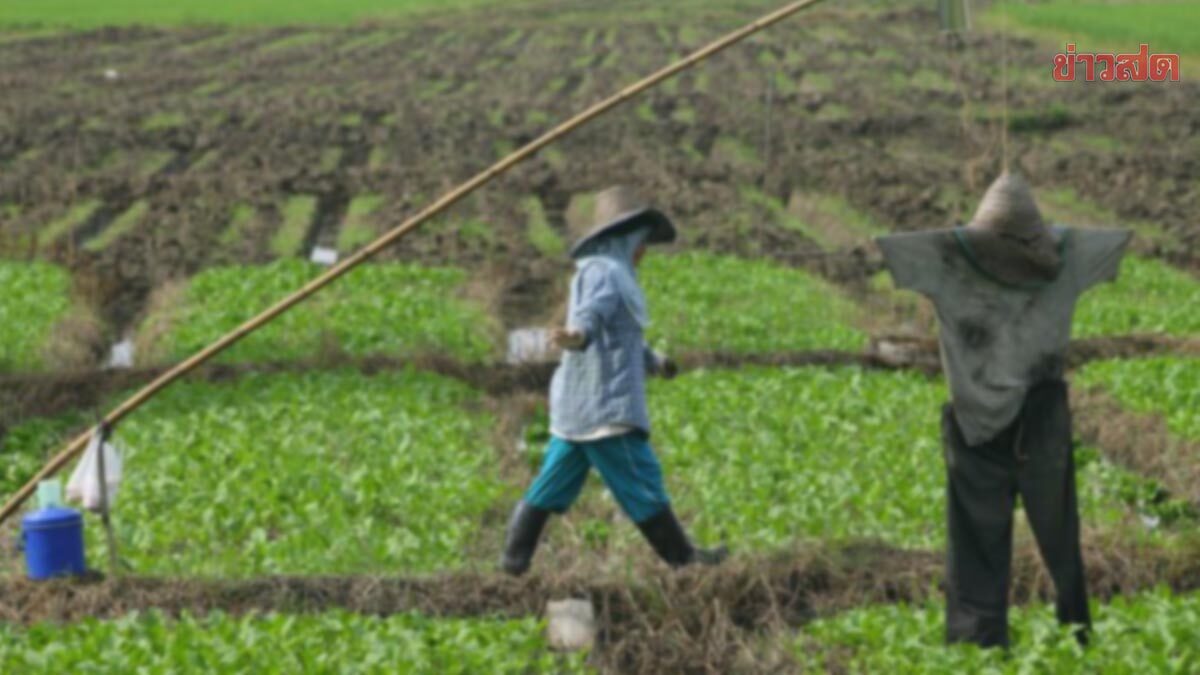 เกษตรไทยอ่วม! ส.อ.ท.ชี้ต้นทุนปุ๋ย-ดีเซลพุ่ง ดันสินค้าแพง หวั่นโลกขาดแคลนอาหาร