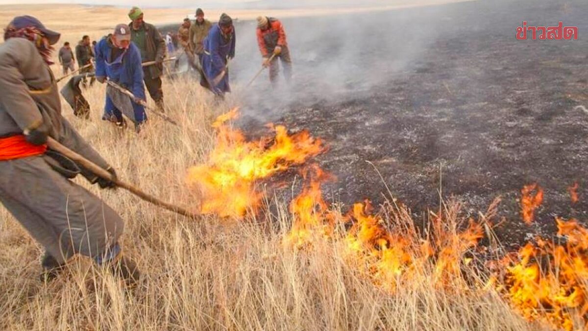 มองโกเลียอ่วม “ไฟป่า” ตั้งแต่ต้นปีเผาทำวอดพื้นที่กว่า 5.5 ล้านไร่