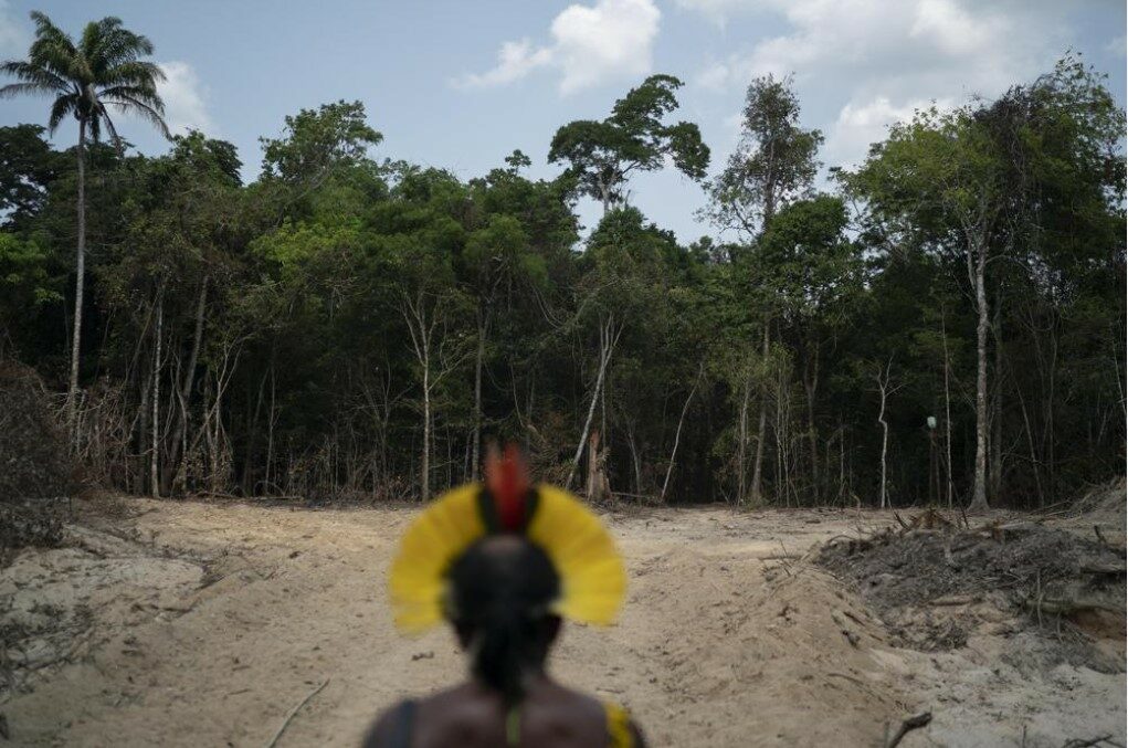 ทำลายทุกสถิติ! ผืนป่าแอมะซอนถูกตัดกว่าพันตารางกิโลเมตรใน เม.ย.