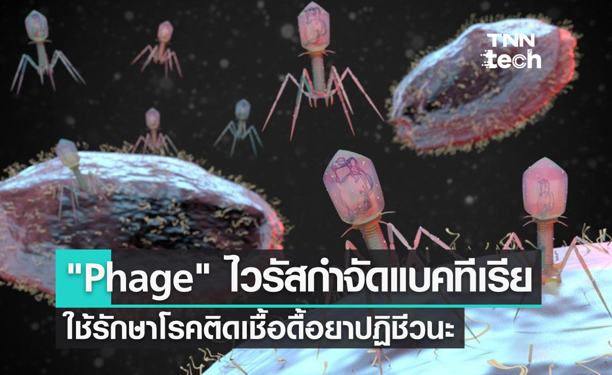 "Phage" ไวรัสกำจัดแบคทีเรีย ใช้รักษาโรคติดเชื้อดื้อยาปฏิชีวนะ