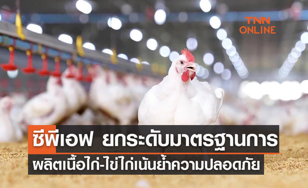 ซีพีเอฟ ยกระดับมาตรฐานการผลิตเนื้อไก่-ไข่ไก่ เน้นย้ำความปลอดภัย