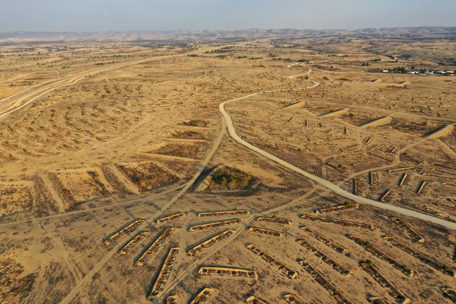 อิสราเอลเตรียมพลิก 'พื้นที่ทะเลทราย' สู่ 'ศูนย์วิจัยเกษตร'