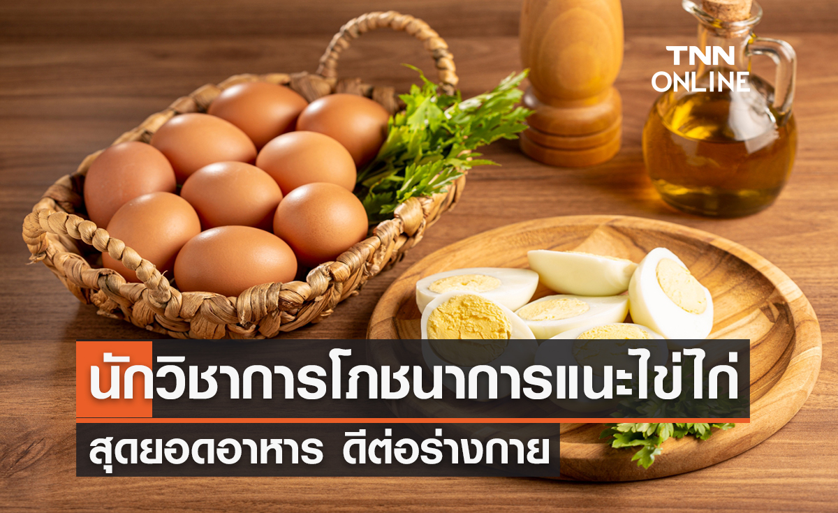นักวิชาการโภชนาการ แนะไข่ไก่ สุดยอดอาหาร ดีต่อร่างกาย