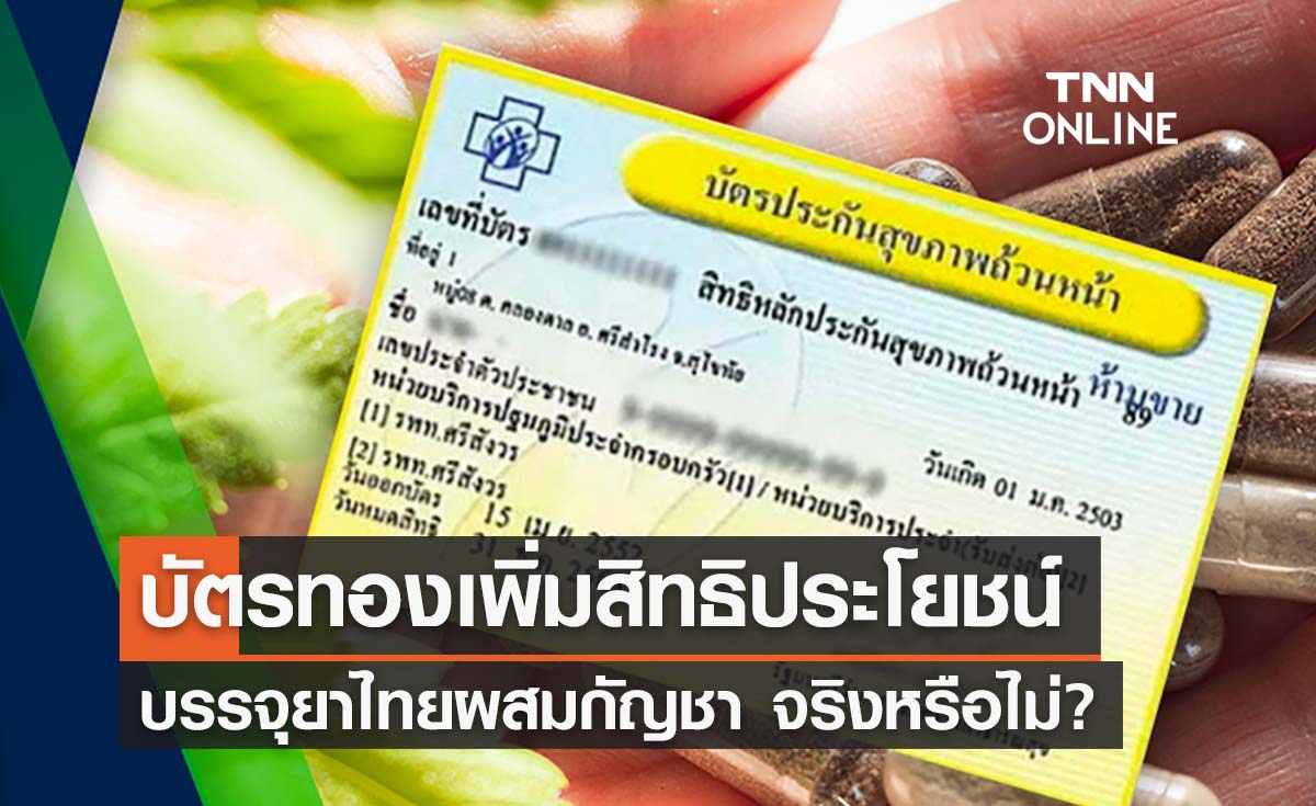 บัตรทองเพิ่มสิทธิบรรจุ “ยาแผนไทยผสมกัญชา” จริงหรือไม่?