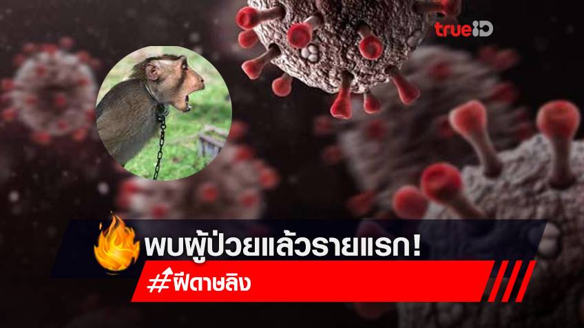 รู้จักไวรัส "ฝีดาษลิง" ล่าสุดสหรัฐฯยืนยันพบผู้ป่วยแล้วรายแรก!
