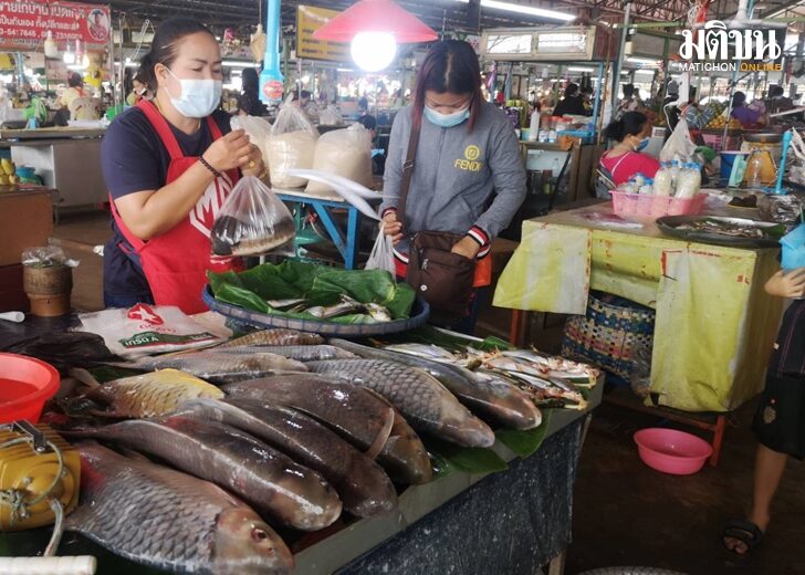 ตลาดปลา น้ำสงครามคึกคัก รับหน้าฝน ชาวบ้านจับขายรายได้งาม