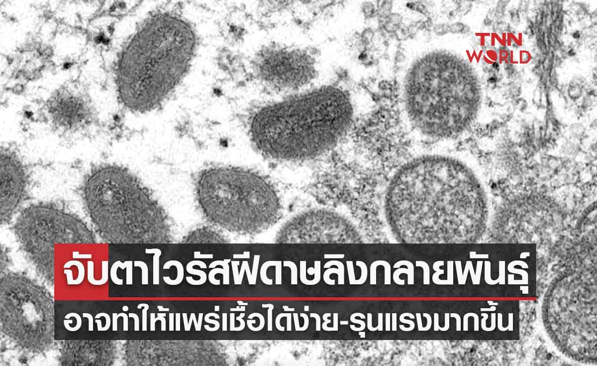 จับตาไวรัส "ฝีดาษลิง" กลายพันธุ์ อาจทำให้แพร่เชื้อได้ง่ายและรุนแรงมากขึ้น