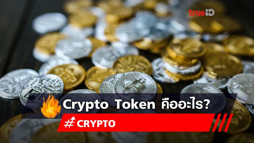 Crypto Token กับ Crypto Coin แตกต่างกันอย่างไร?