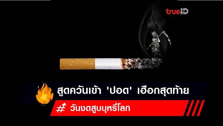 วันงดสูบบุหรี่โลก 2566 :  สูดควันเข้า 'ปอด' เฮือกสุดท้าย เสี่ยงตาย ทำลายโลก
