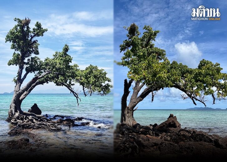 ททท.ตราด ผุด #Saveเกาะขายหัวเราะ หารือท่องเที่ยว 'เกาะหมาก'