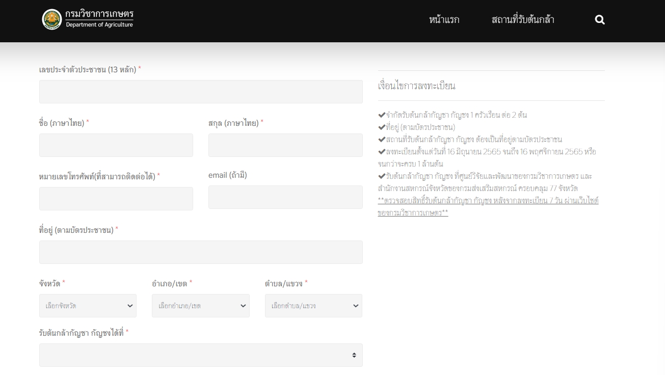 ลงทะเบียนที่นี่! register.doa.go.th 16 มิ.ย. นี้ แจกกัญชาฟรี 2 ต้นต่อครัวเรือน 