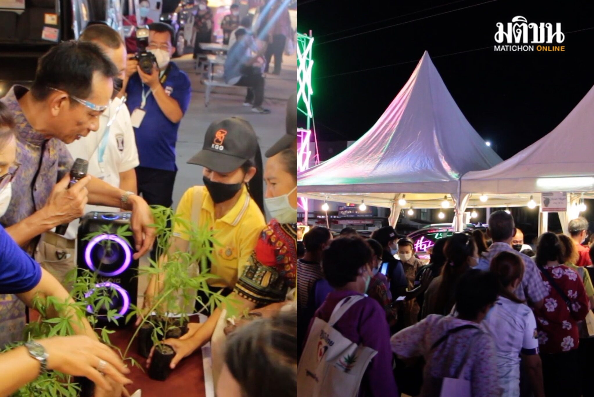 'ส.ส.นันนี่' แจกกัญชา 500 ต้น หลังเปิดงาน 'Fun Friend Festival@KhonKaen'