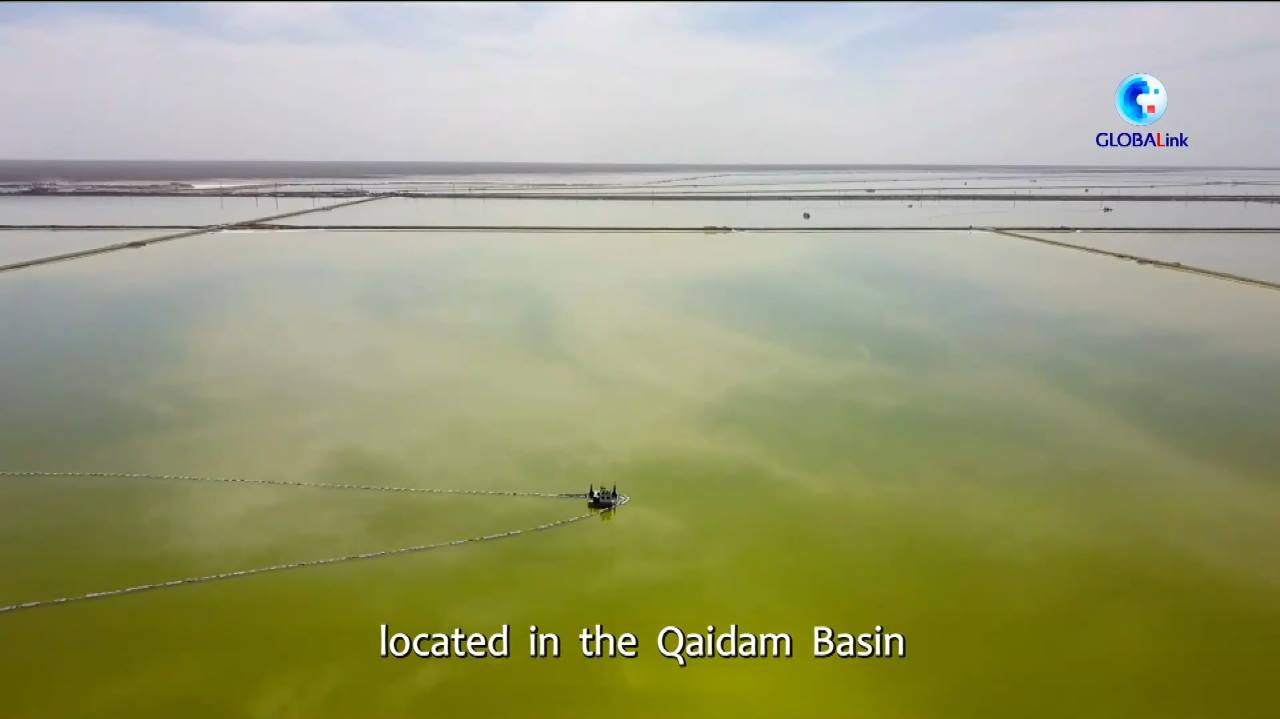 GLOBALink : 'การพัฒนาสีเขียว' หนุนผลผลิต 'ทะเลสาบเกลือ' ใหญ่สุดในจีน