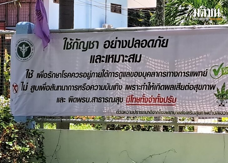 ขึ้นป้ายรณรงค์ ใช้กัญชาถูกต้อง-ขณะที่สสจ.ออกเตือนไม่ควรนำมาใช้สูบเสพเพื่อสันทนาการ