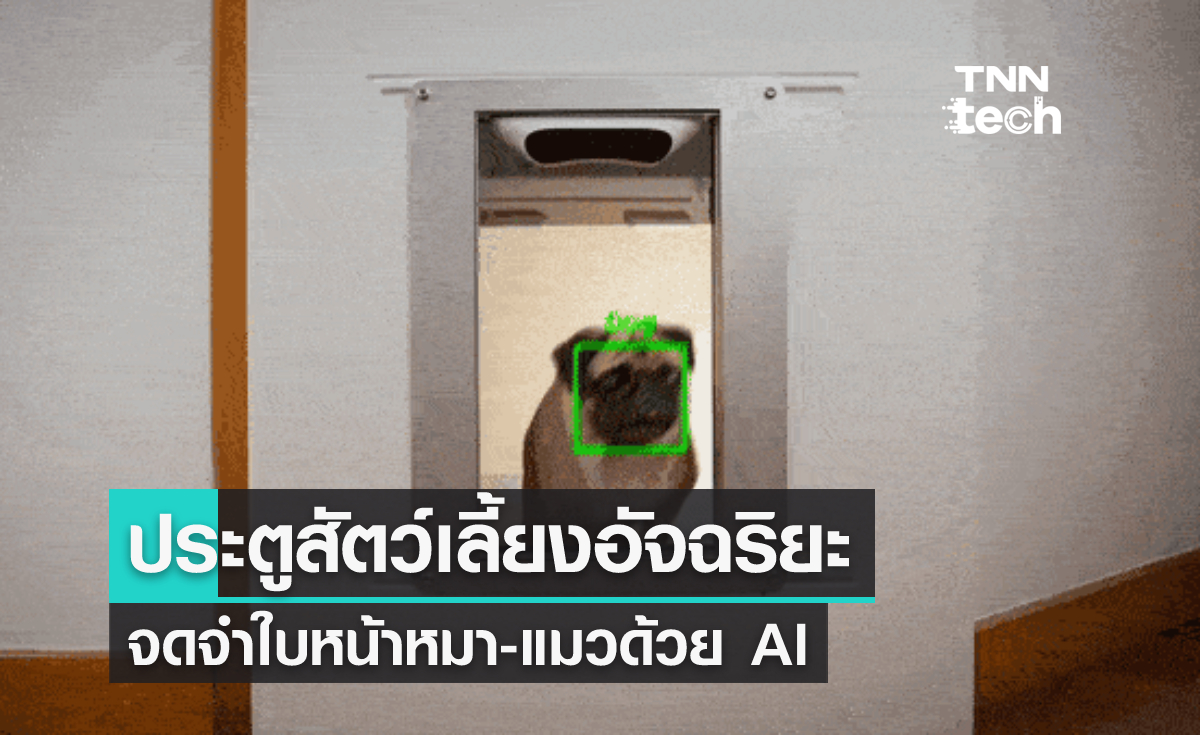 ประตูสัตว์เลี้ยงอัจฉริยะจดจำใบหน้าหมาแมวด้วย AI