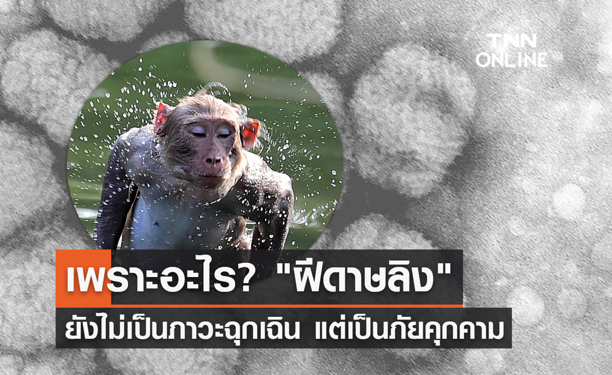 ฝีดาษลิง ทำไมยังไม่ถูกประกาศเป็นภาวะฉุกเฉิน ศูนย์จีโนมฯมีคำตอบ?