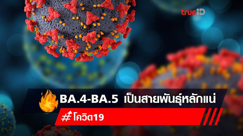 คาดอีก 1 เดือน โควิดโอมิครอน "BA.4 - BA.5" จะกลายเป็นสายพันธุ์หลักในไทย