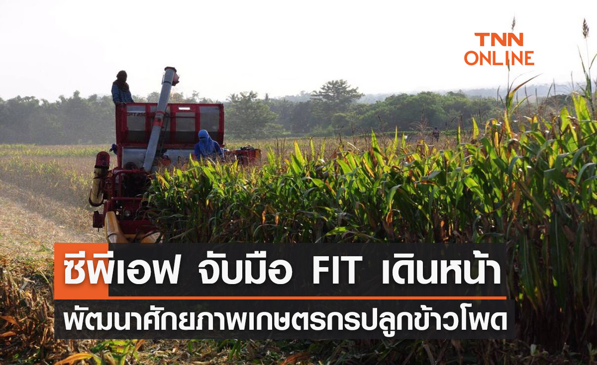 ซีพีเอฟ จับมือ FIT เดินหน้าพัฒนาศักยภาพเกษตรกรปลูกข้าวโพด