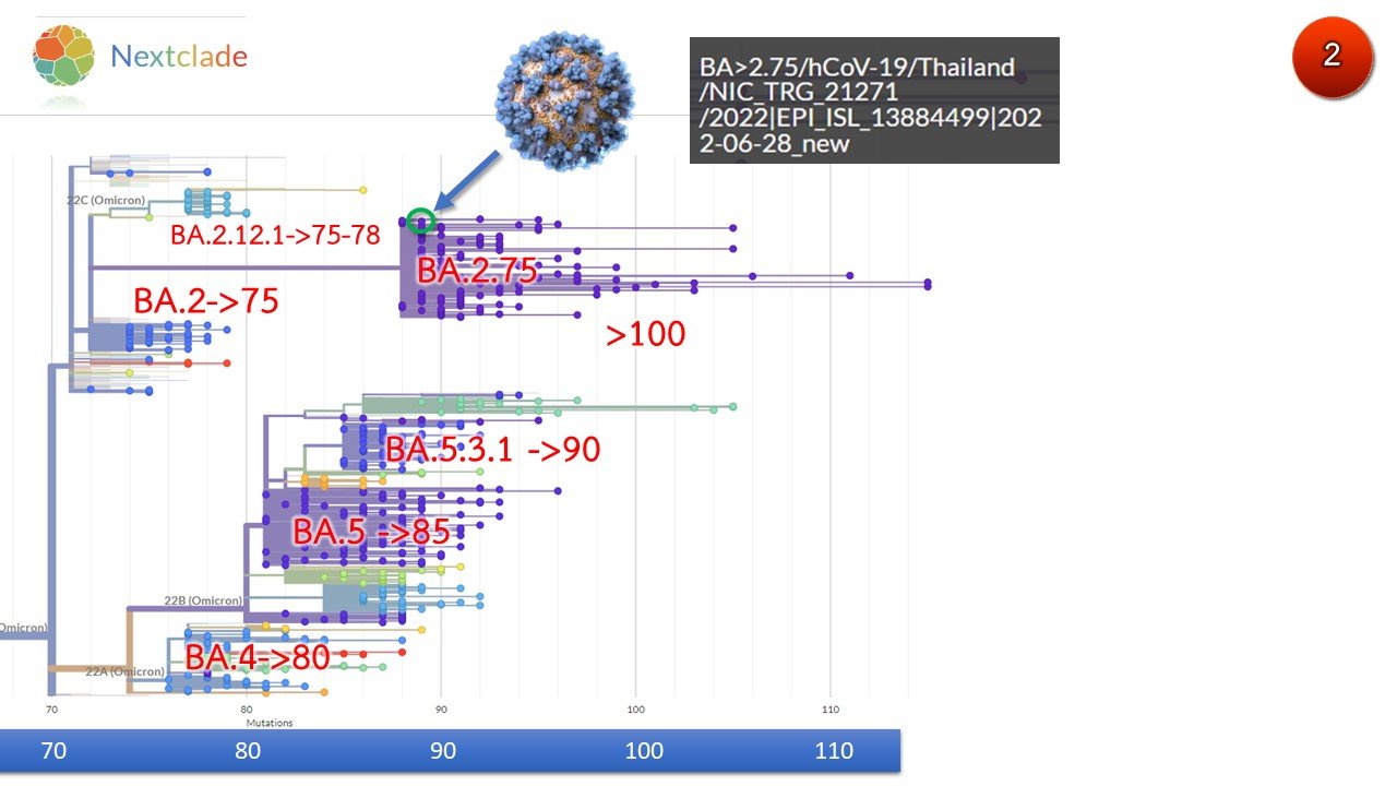 ไทยพบแล้ว 1 ราย ติดโอมิครอน BA.2.75 