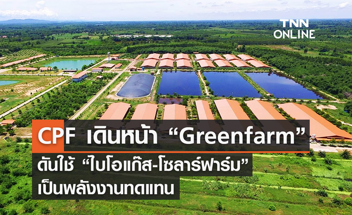 CPF เดินหน้า “Greenfarm” ดันใช้ “ไบโอแก๊ส-โซลาร์ฟาร์ม” เป็นพลังงานทดแทน
