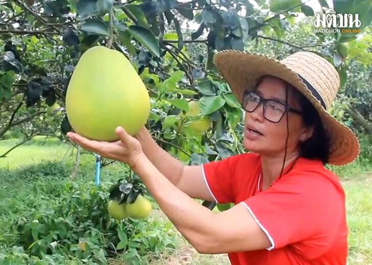 ชาวสวนสุดภูมิใจ 'ส้มโอปราจีน' ขึ้นทะเบียนสินค้า GI ไทย เผยยื่นขอตั้งแต่ปี'61 วันนี้สำเร็จแล้ว