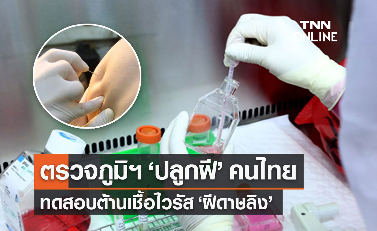 กรมวิทย์ฯ ตรวจภูมิคุ้มกันคนไทยเคย "ปลูกฝี" ทดสอบกับเชื้อ "ฝีดาษลิง" รู้ผลเร็วๆนี้