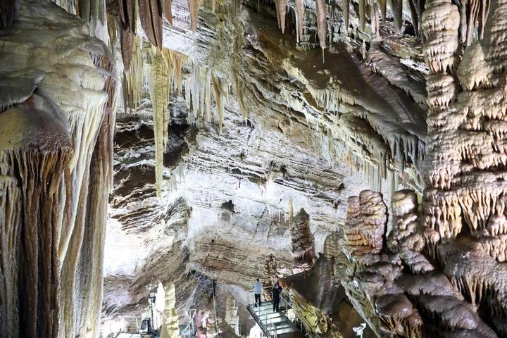 นักวิจัยจีนเปิดเผย 'การตั้งอาณานิคมทางชีวภาพ' ในถ้ำกึ่งเขตร้อนทางเอเชียตะวันออก