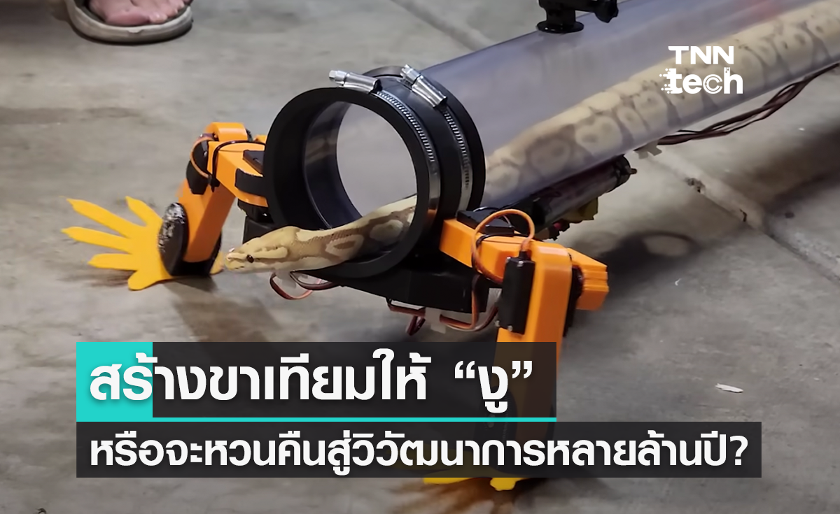 งูมีขา ช่างหาทำ! ยูทูบเบอร์สร้างหุ่นยนต์ขาเทียมสำหรับงู