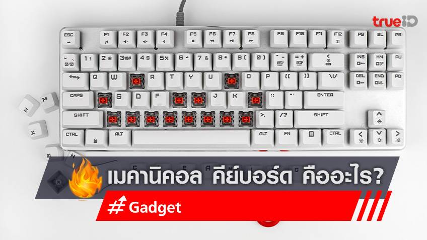 เมคานิคอล คีย์บอร์ด (Mechanical Keyboard) คืออะไร ทำไมเป็นที่นิยม?