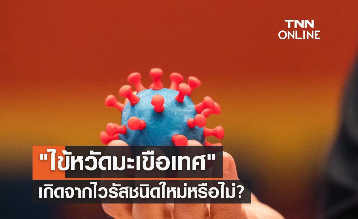 "ไข้หวัดมะเขือเทศ" เกิดจากไวรัสชนิดใหม่หรือไม่-หากติดเชื้อมีอาการอย่างไร?