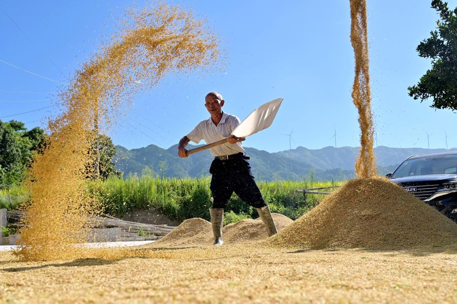 จีนจัดงบฯ หนุน 'เกษตรกรปลูกธัญพืช' 1 หมื่นล้านหยวน