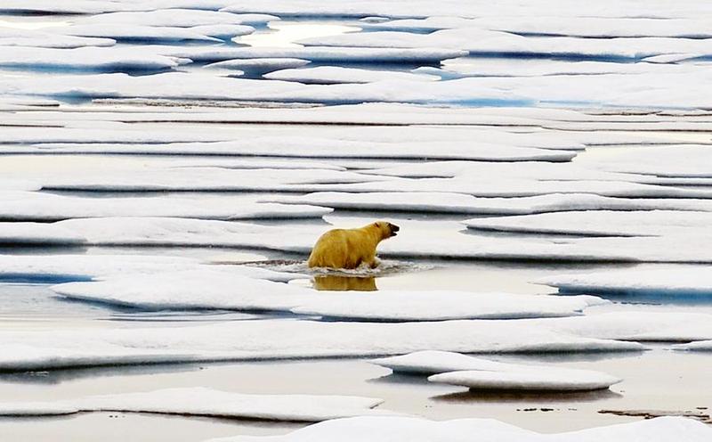 นักวิจัยหวั่น 'น้ำแข็งกรีนแลนด์' ละลาย เพิ่มระดับน้ำทะเลทั่วโลก 27 ซม.