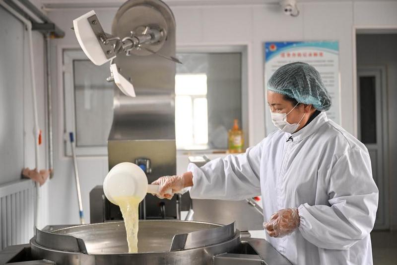จีนเผยผลผลิต 'ผลิตภัณฑ์นม' ปี 2021 โตทะลุ 37 ล้านตัน