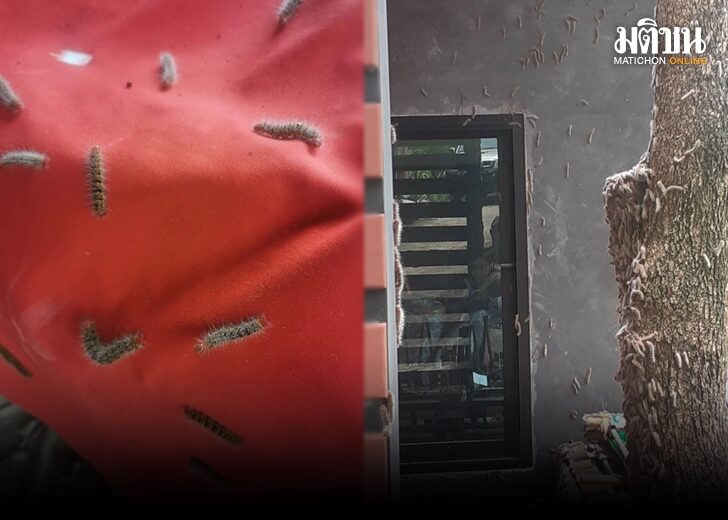 Valentine Day Crafts For Adults Valentine Day Crafts For Adults