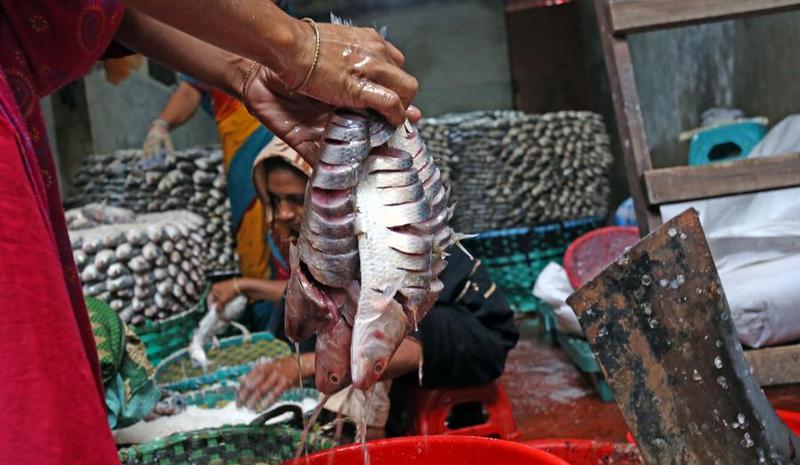 'ปลาเค็มฮิลซา' ผลิตภัณฑ์แปรรูปในบังกลาเทศ