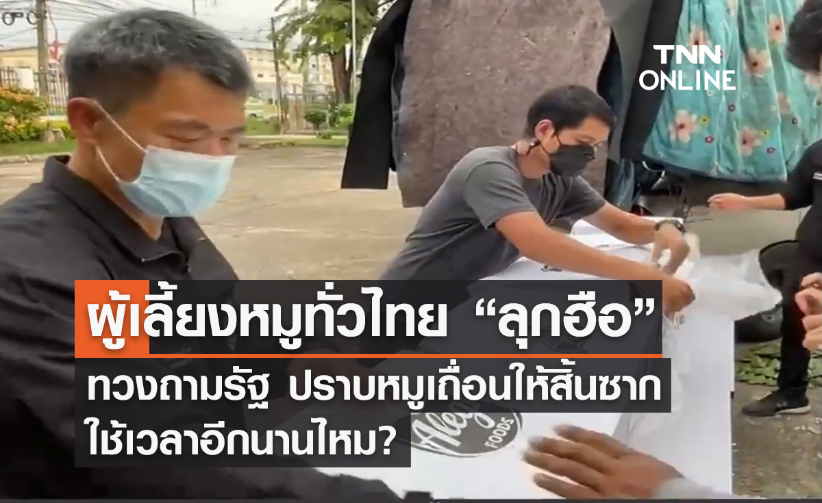 ผู้เลี้ยงหมูทั่วไทย “ลุกฮือ” ทวงถามรัฐ ปราบหมูเถื่อนให้สิ้นซากใช้เวลาอีกนานไหม?
