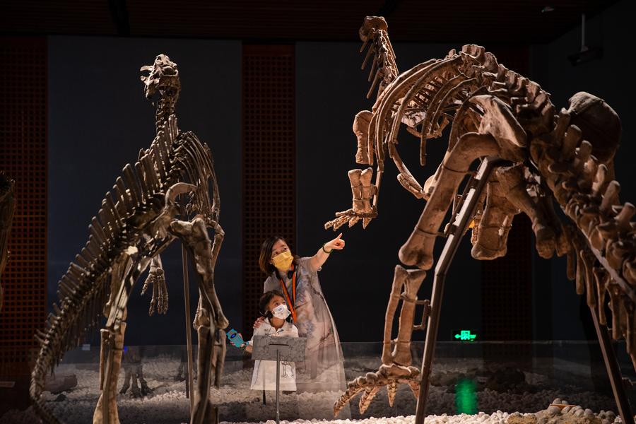 วิจัยพบ 'ไดโนเสาร์' เริ่มสูญพันธุ์เร็วกว่าความเชื่อเดิม 2 ล้านปี