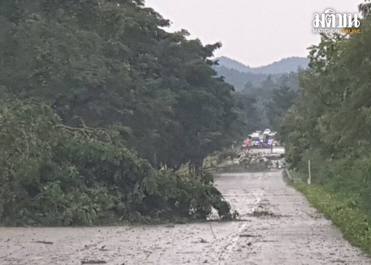 ลมฝนพัดแรง! ต้นไม้ใหญ่ล้มขวางถนนสายหลัก รถขึ้นเหนือติดขัดยาวกว่า 10 กิโลเมตร