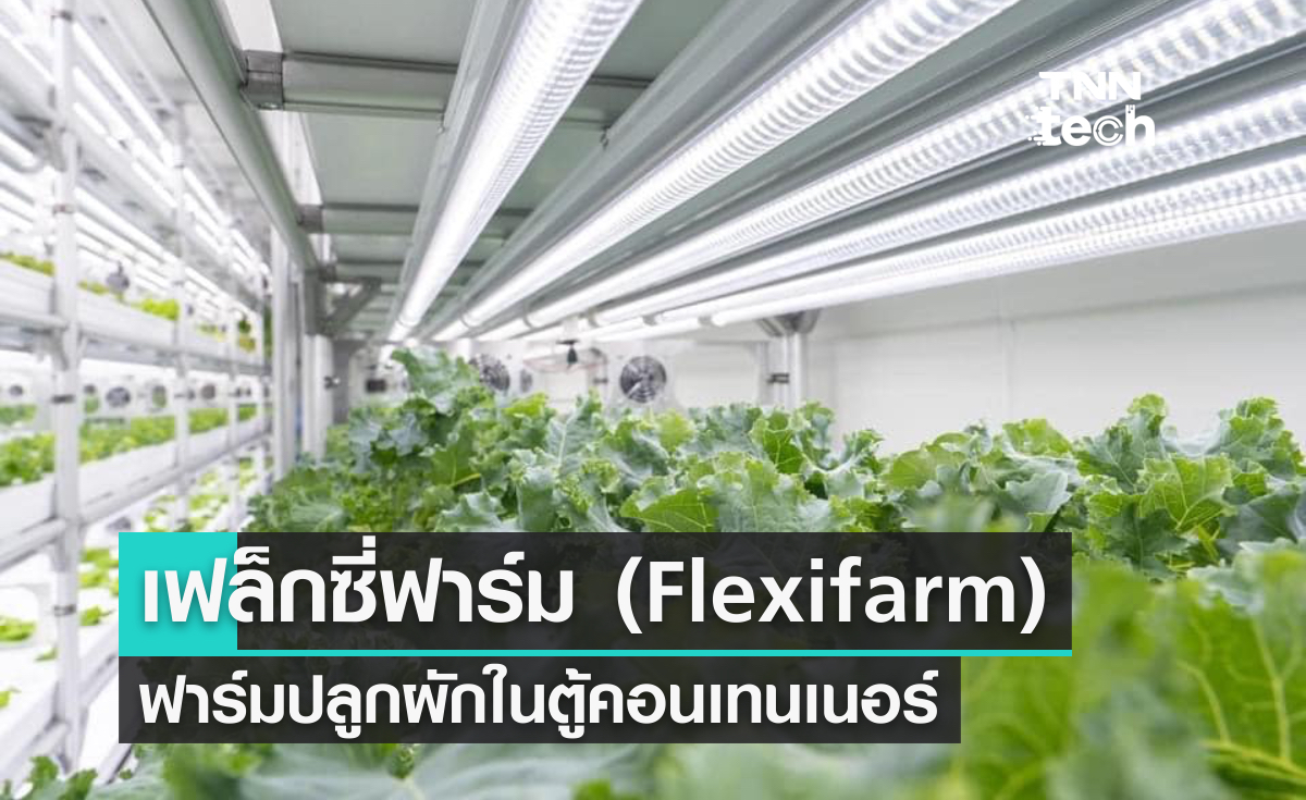 เฟล็กซี่ฟาร์ม (FlexiFarm) ฟาร์มปลูกผักในคอนเทนเนอร์
