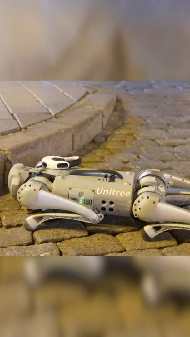 ไฮเทค! หุ่นยนต์ 'สุนัข' เดินเล่นถนนสายเก่าในฮาร์บิน