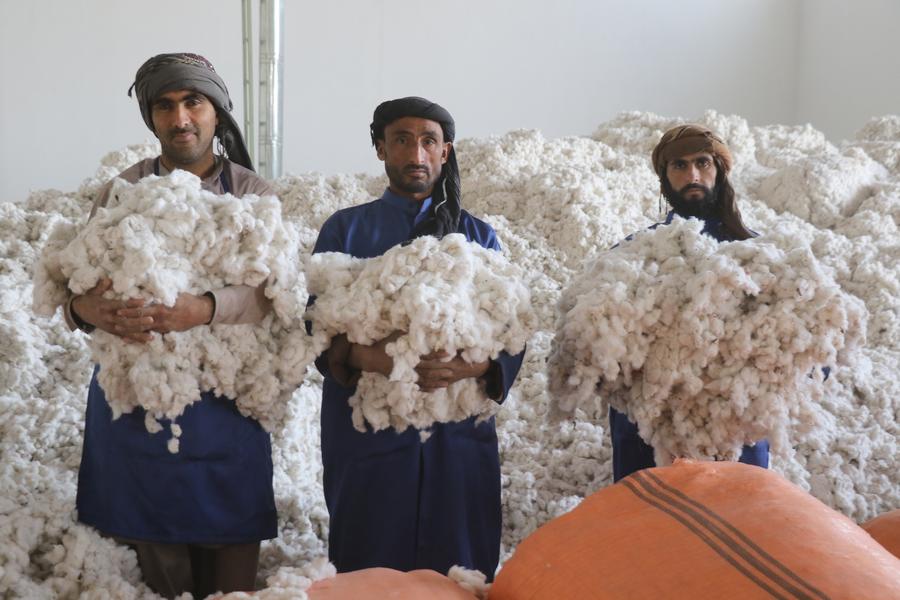 อัฟกาฯ ผุด 'โรงงานแปรรูปฝ้าย' มูลค่า 2 ล้านดอลล์
