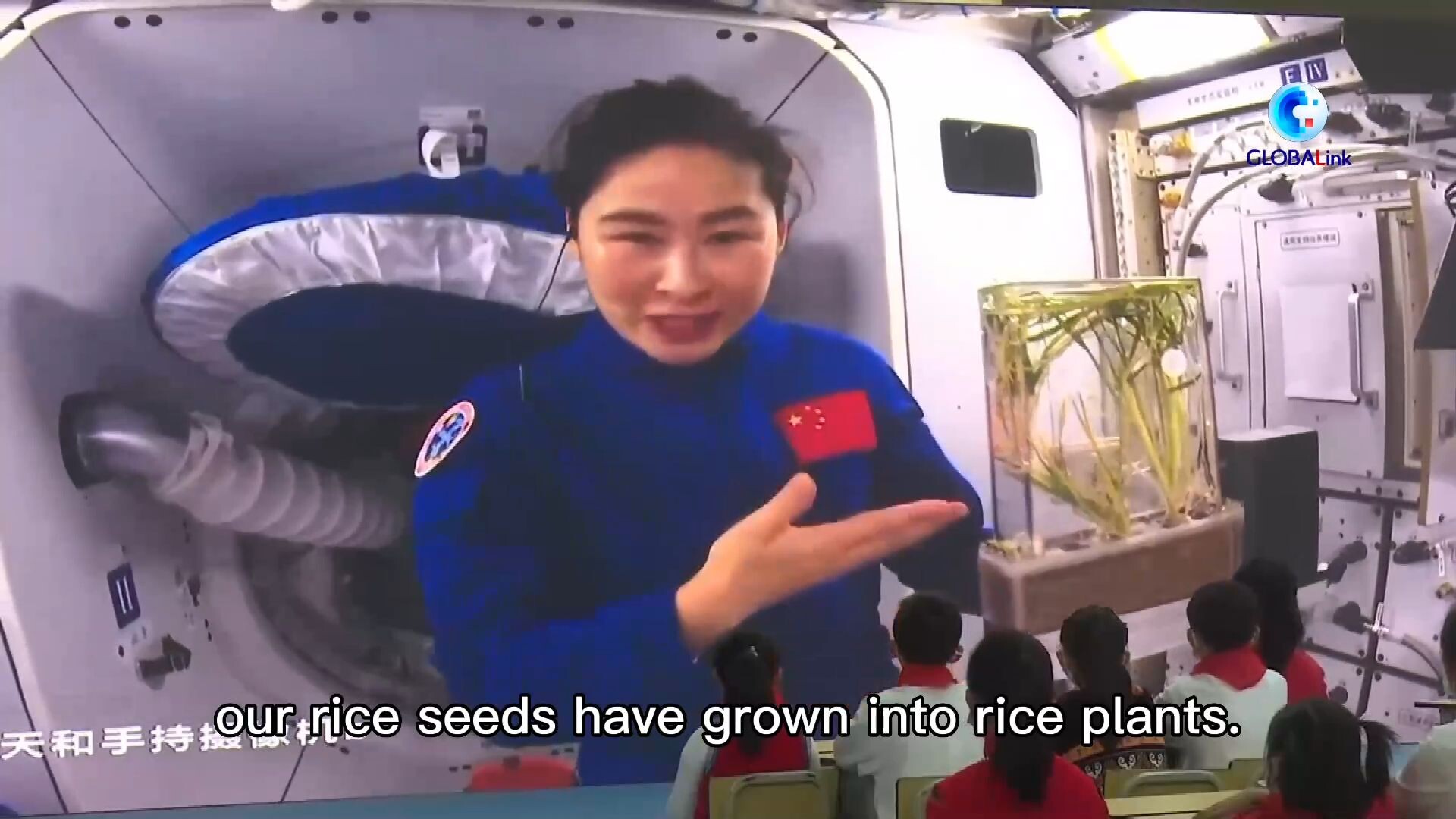 GLOBALink : นักบินอวกาศจีนเผยความก้าวหน้า 'ปลูกพืชในอวกาศ'