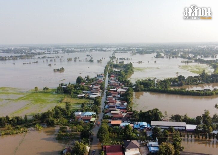 ชาวนาสุดเศร้า หลังพนังกั้นน้ำชีแตก ท่วมข้าวที่กำลังตั้งท้องเสียหายหลายหมื่นไร่ ฝันสลายใช้หนี้ธ.ก.ส.